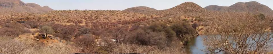 Dsternbrook1.jpg