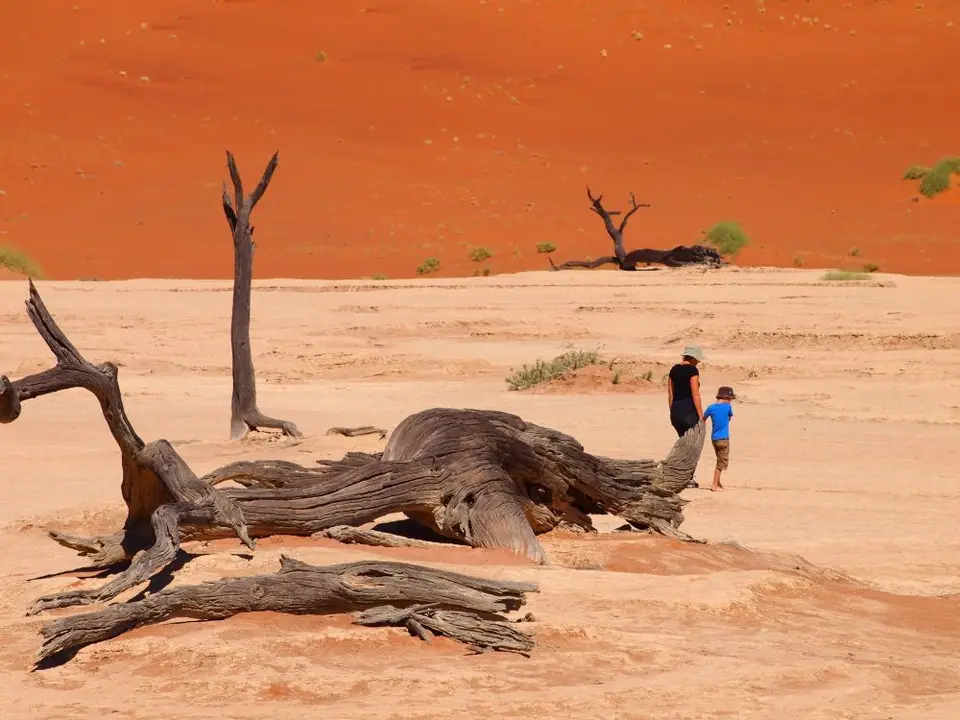 Vlei1.jpg