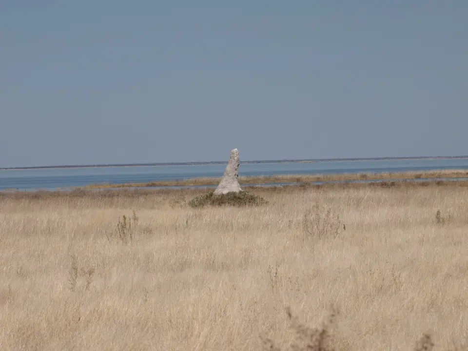 P9011872.jpg