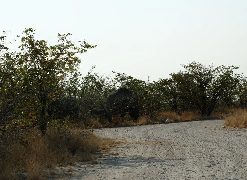 Zwischenablage04_2011-12-04.jpg