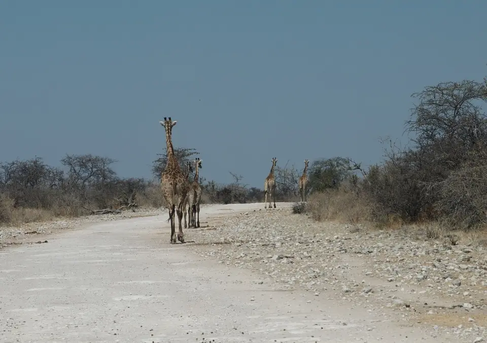 Zwischenablage04_2011-12-16.jpg