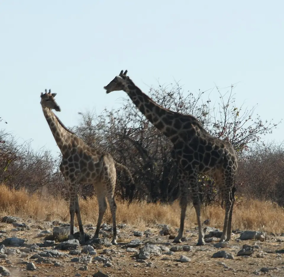 Zwischenablage08_2011-12-16.jpg