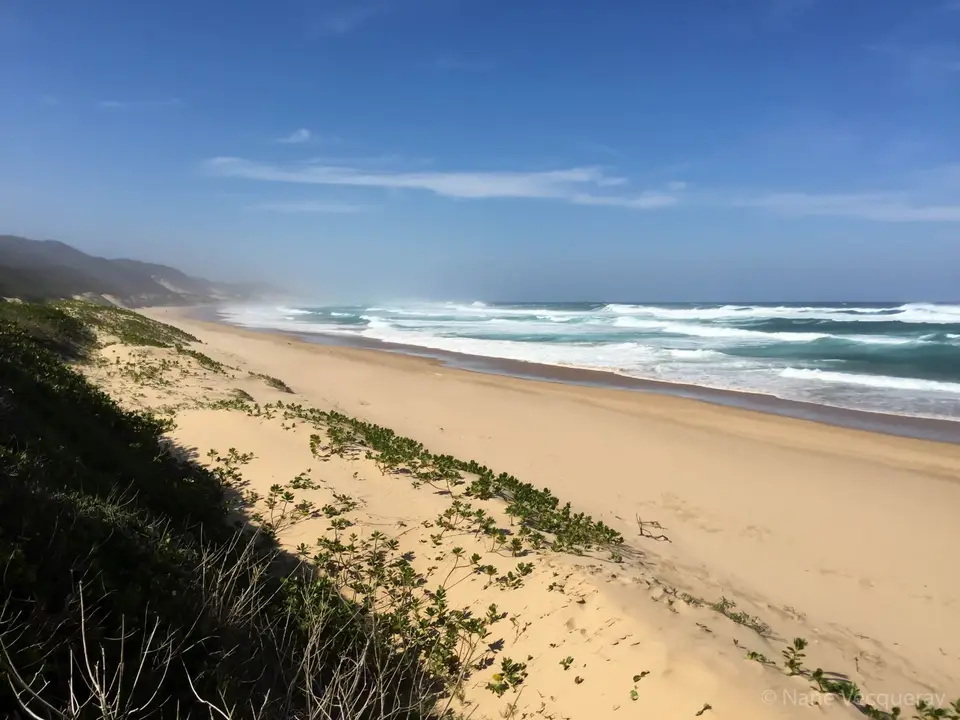KZN(650von882).JPG