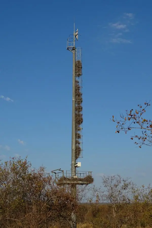 h279409c.JPG