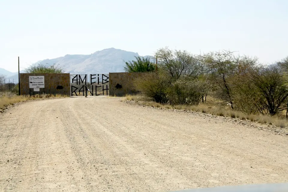 _MG_7696ameib.JPG