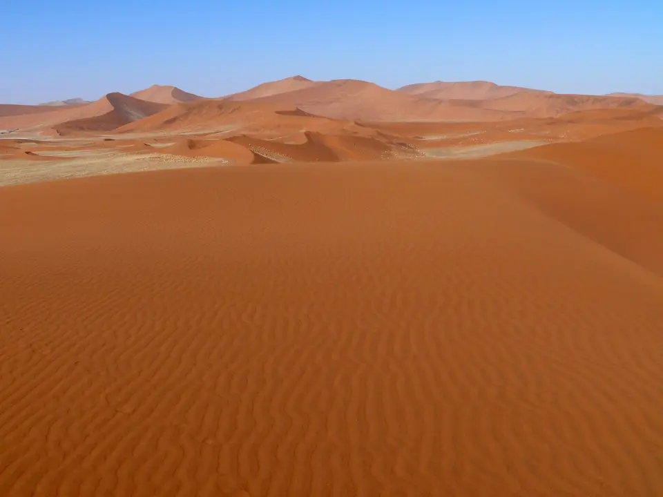 2-P1040075.JPG