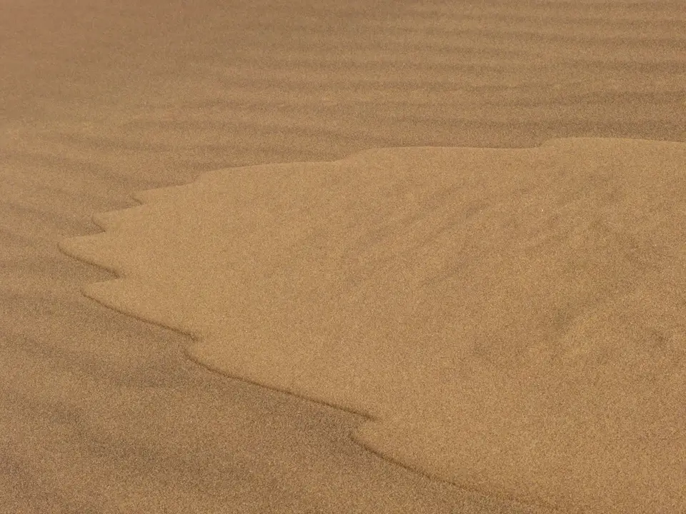 P1000365.JPG