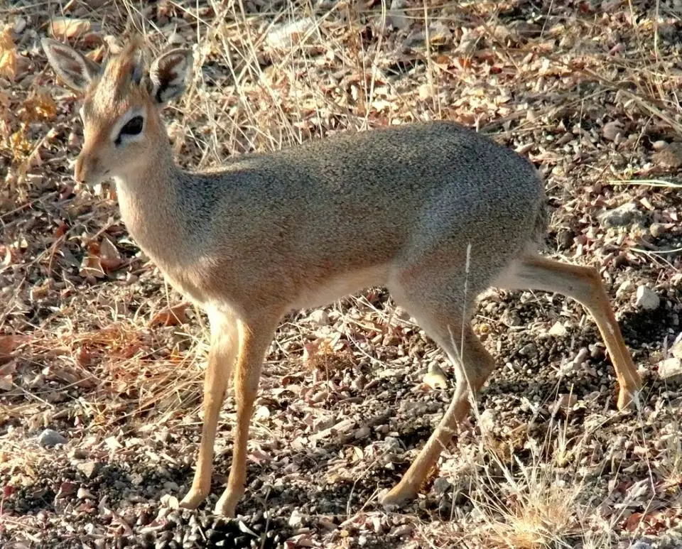 P1050045.JPG