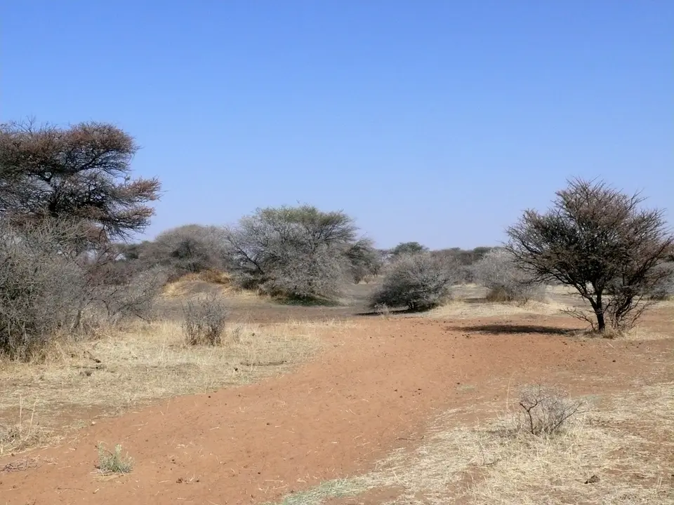 P1050051.JPG