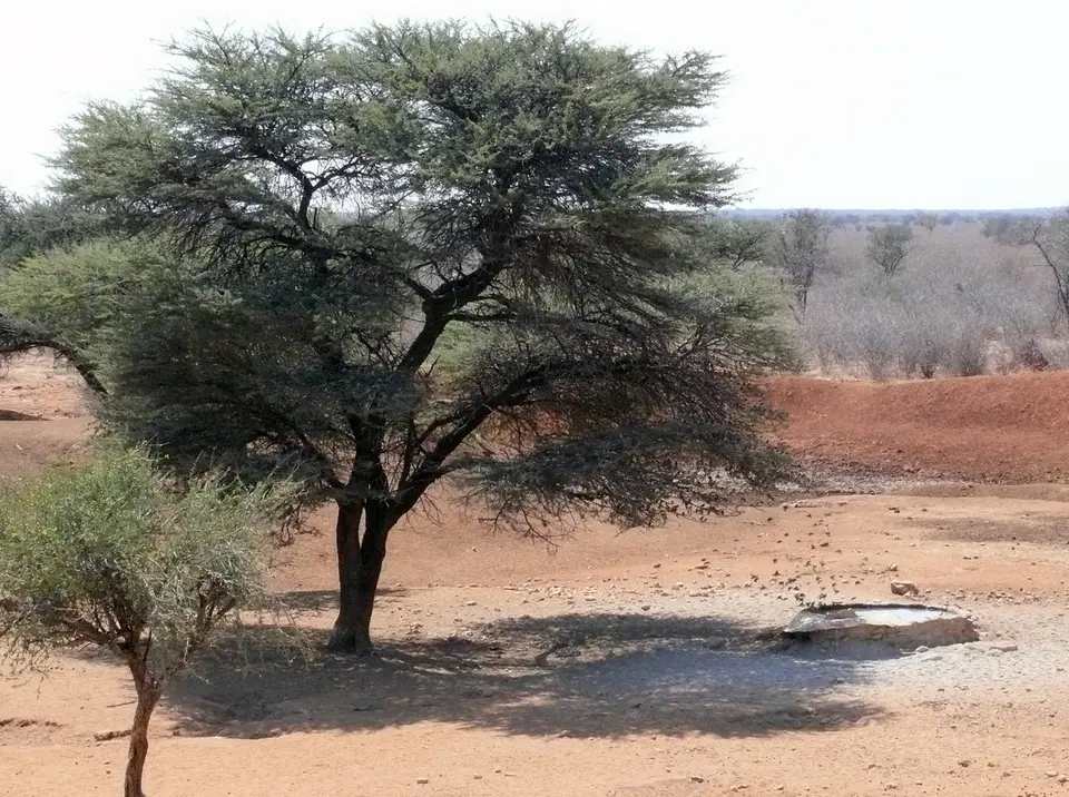 P1050071.JPG