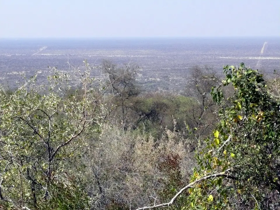 P1050082.JPG