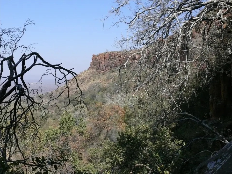 P1050091.JPG
