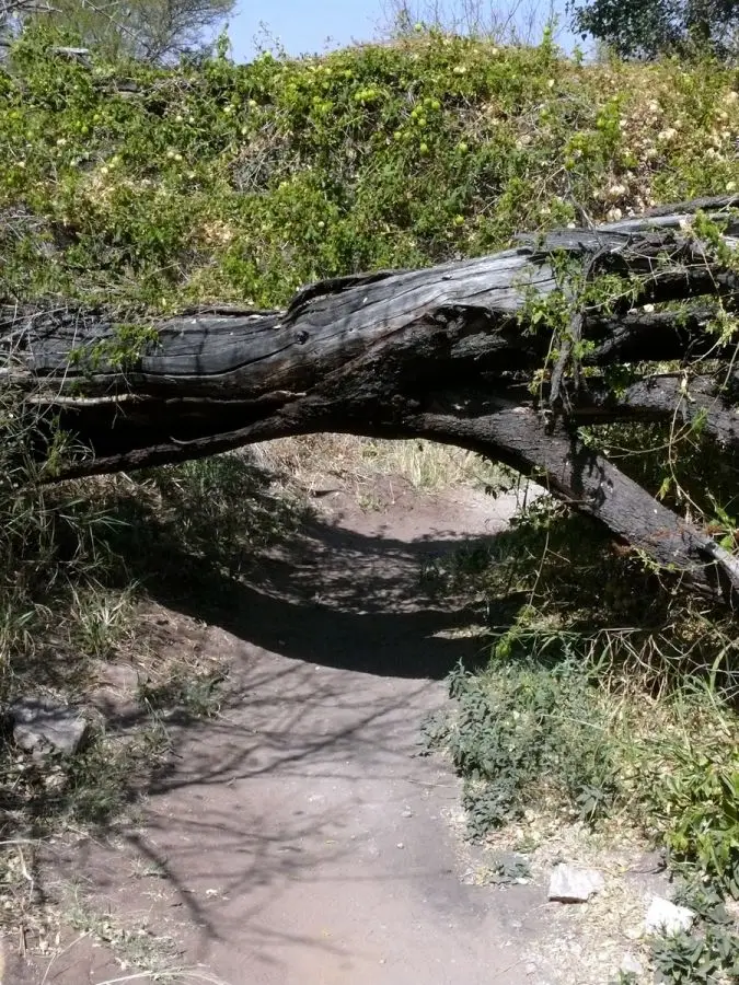 P1050100.JPG