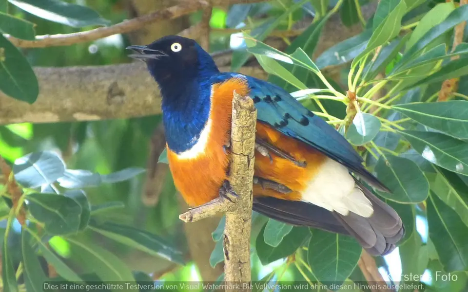 P1110376.JPG