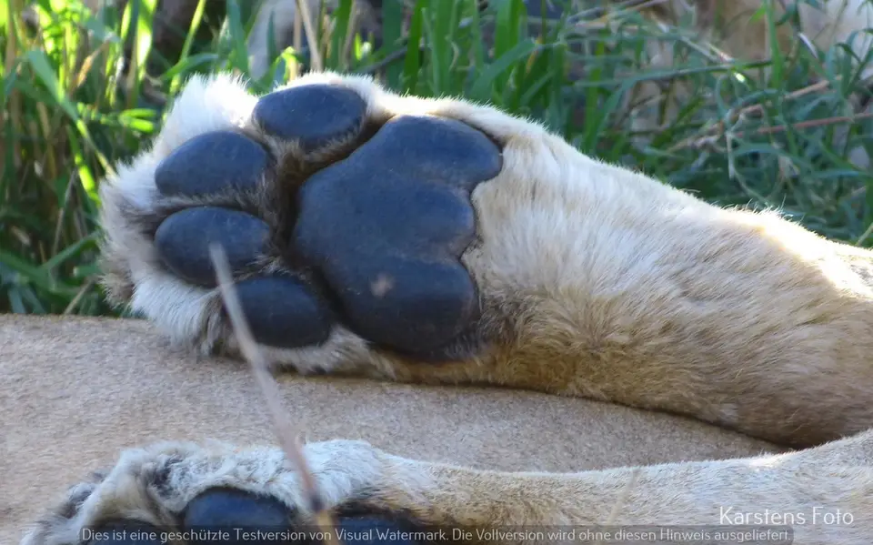 P1110663.JPG