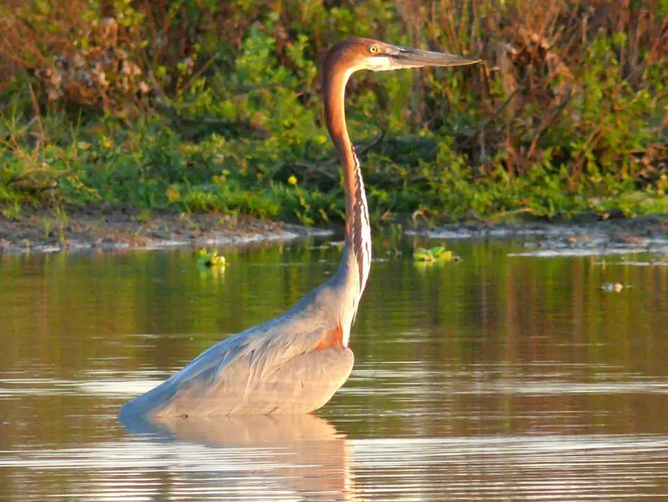 h5d6e575.JPG