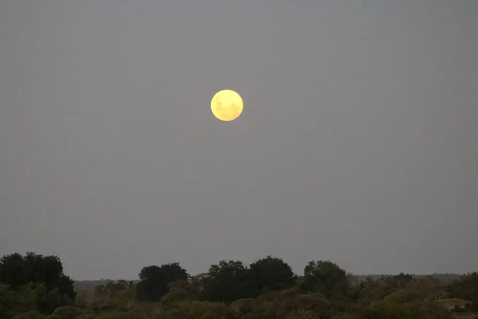 IMG_0143.JPG