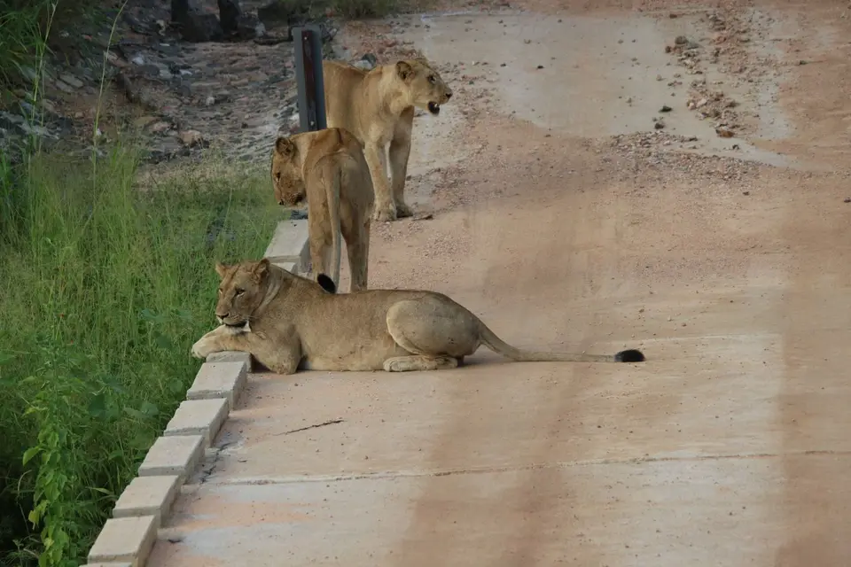IMG_7596.JPG