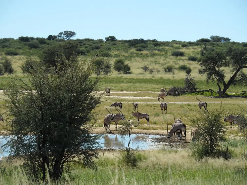 Namibia2012407.JPG
