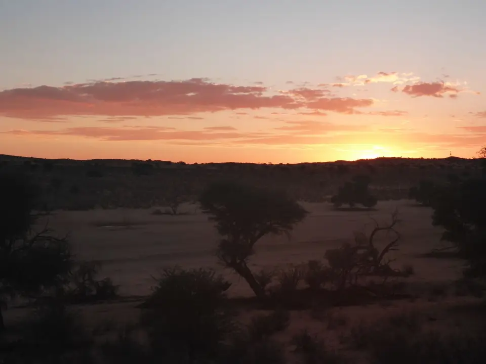 P1020197.JPG