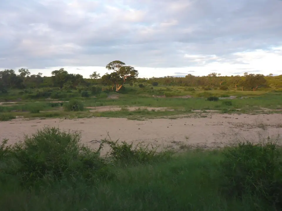 P1020229.JPG