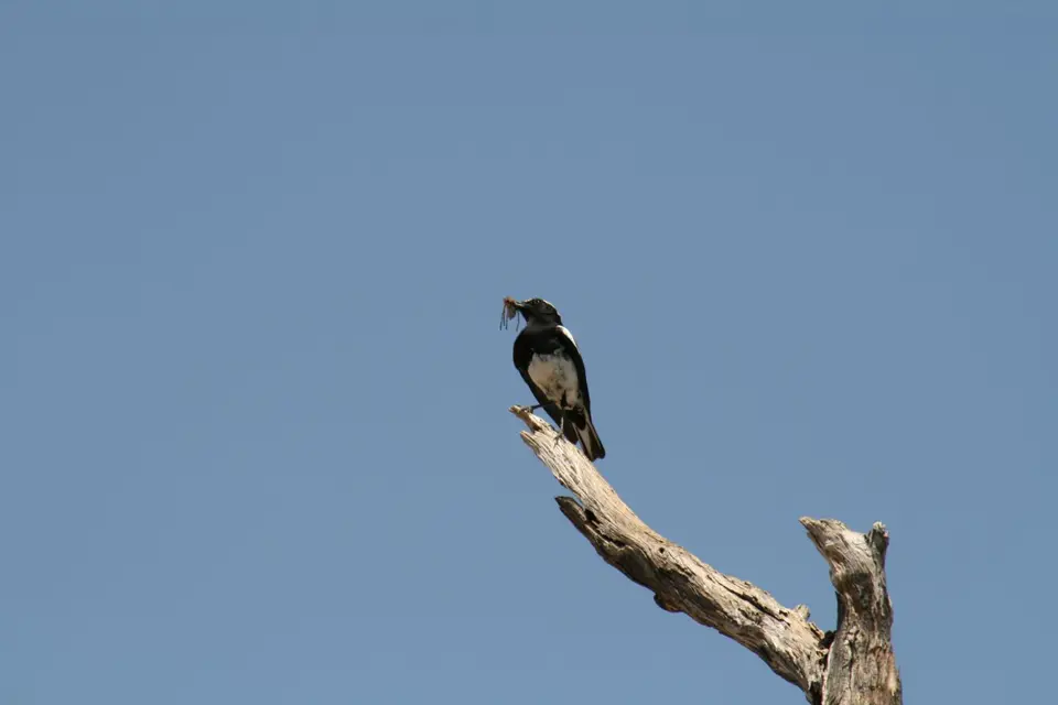 IMG_4564.JPG