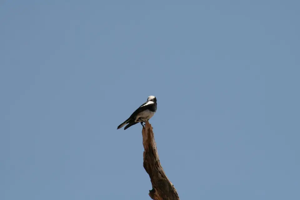 IMG_4587.JPG
