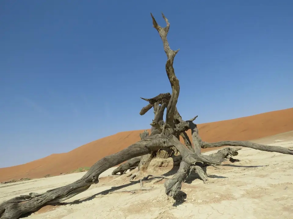 222_Sossusvlei-Deadvlei.JPG