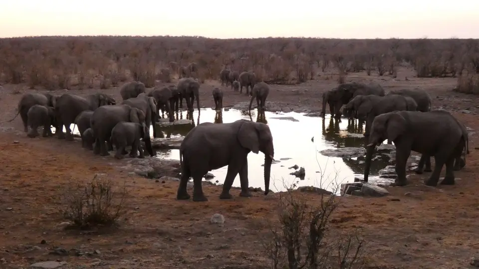 369_Etosha-Halali-F.JPG