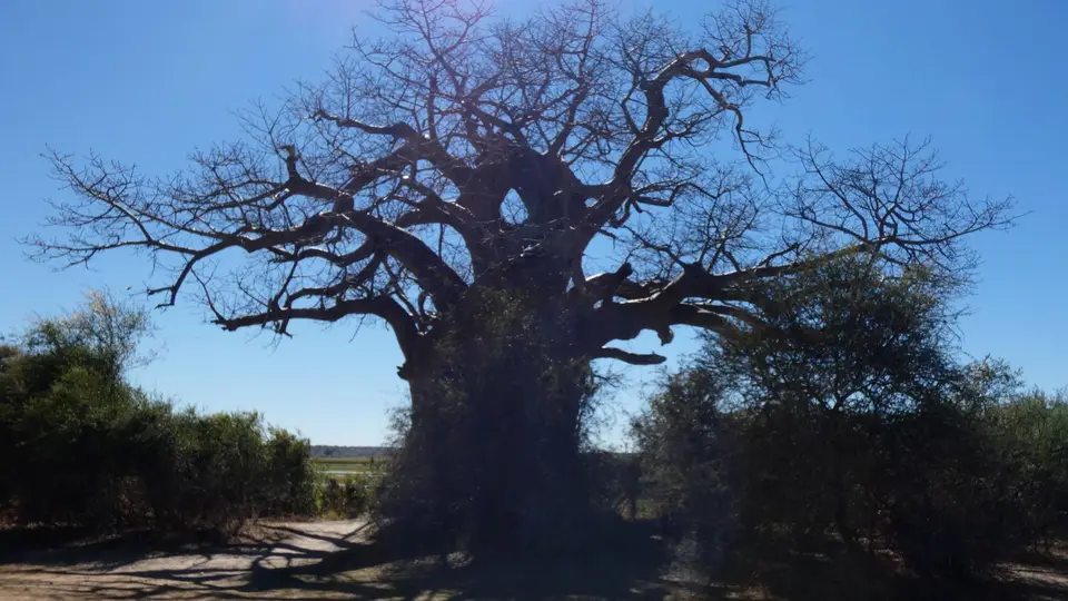 420_MahangoGameReserve-F.JPG
