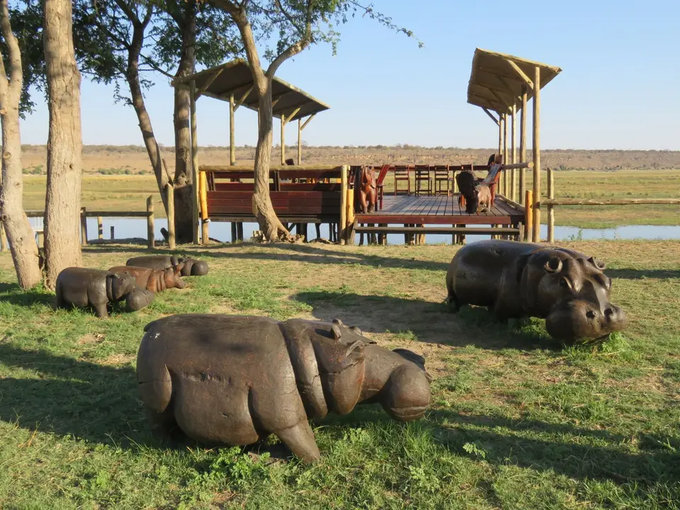 480_CampChobe.JPG