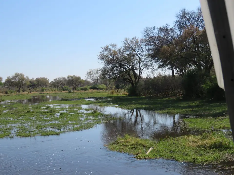 505_Savuti-MabageGate(Magotho)-F.JPG