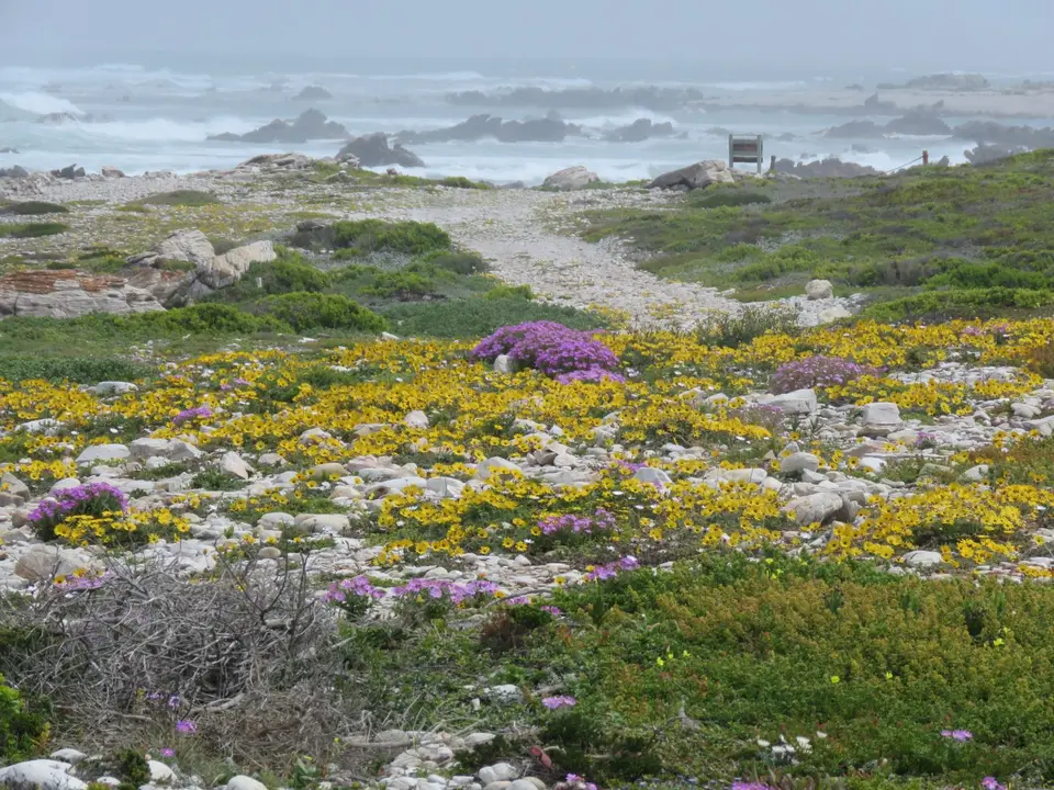 730_KapAgulhas.JPG