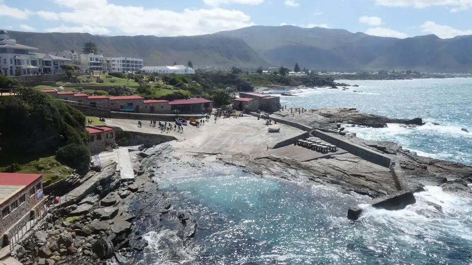 743_Hermanus-F.JPG