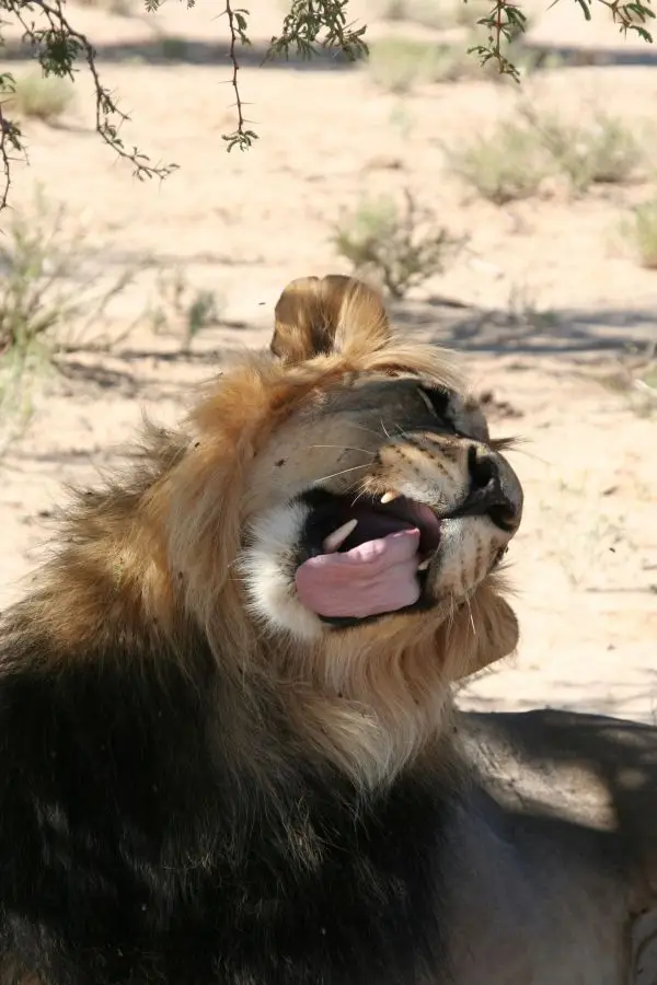 he030992.jpg