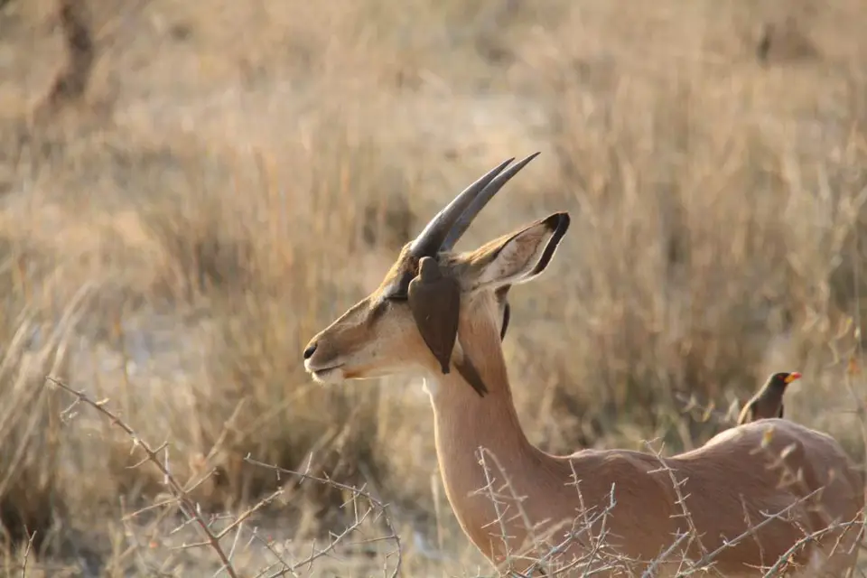 127_2012-11-29.jpg