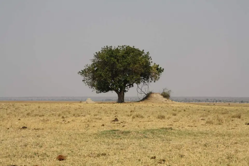 206.jpg
