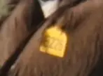 249.jpg