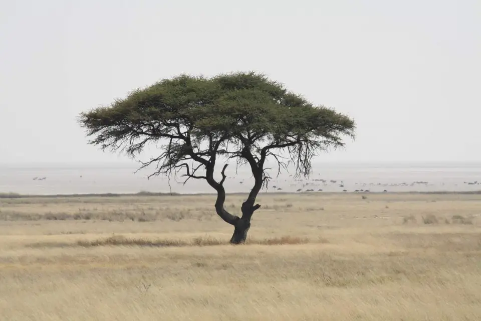 264.jpg