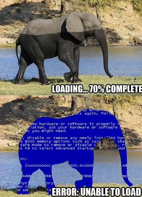 316.jpg