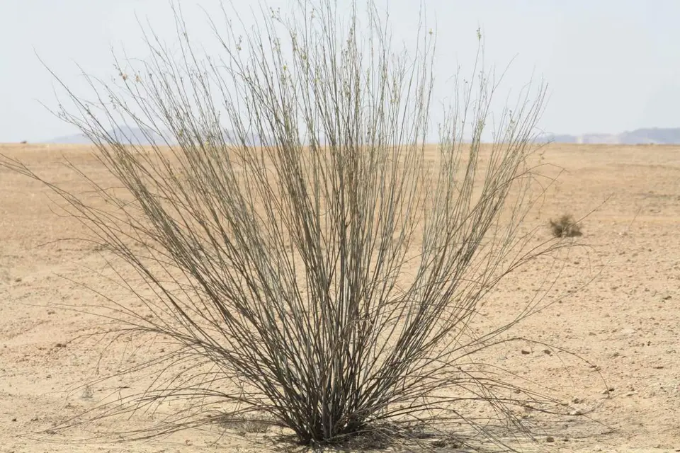 380.jpg