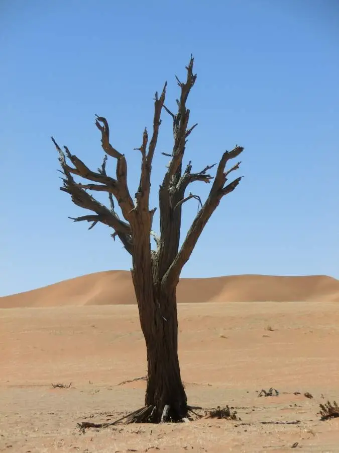 489.jpg