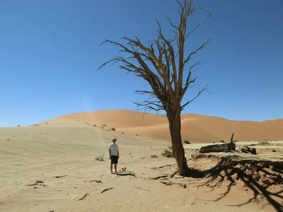 490.jpg