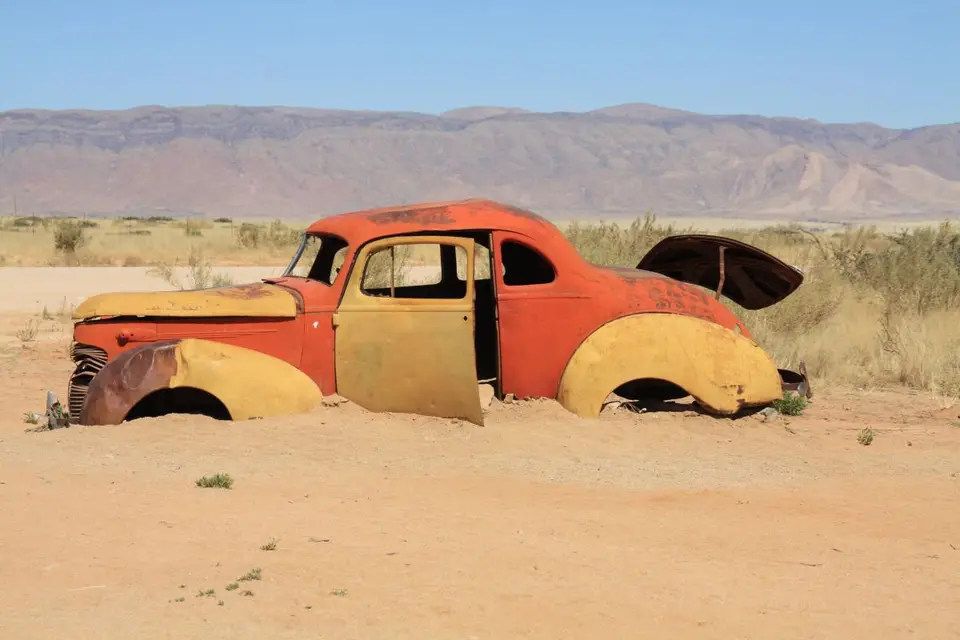 495.jpg