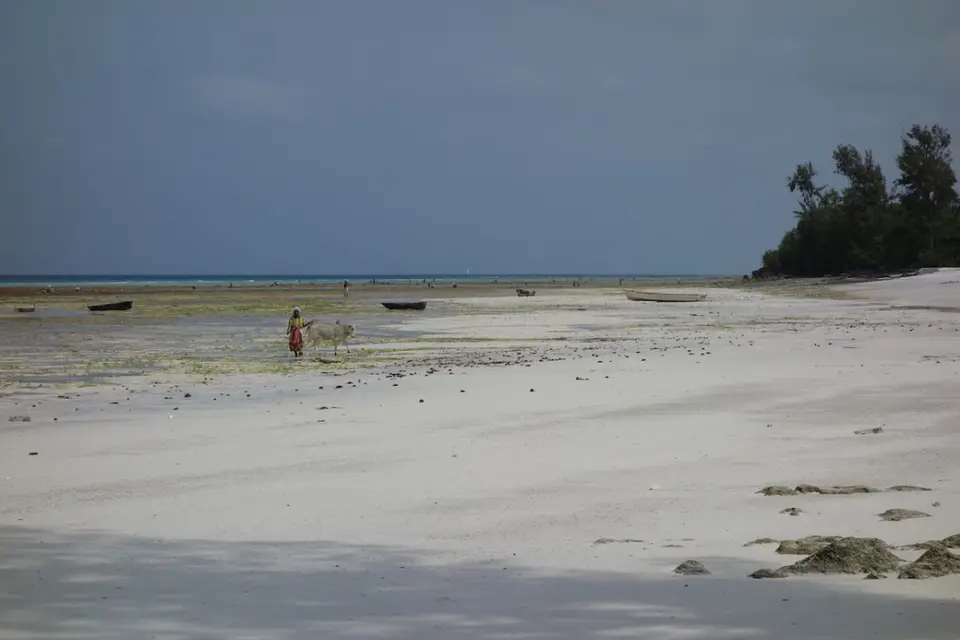 h0178ba0.JPG