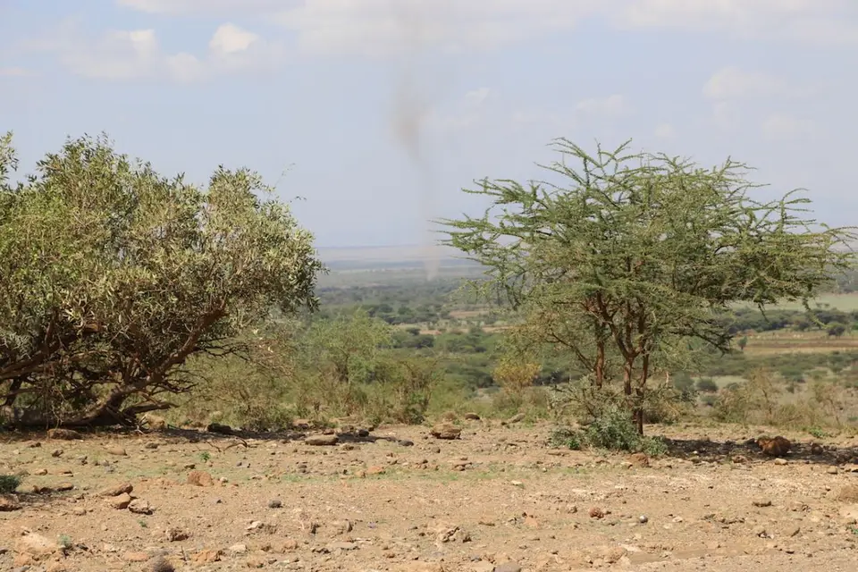 h48baf20.JPG