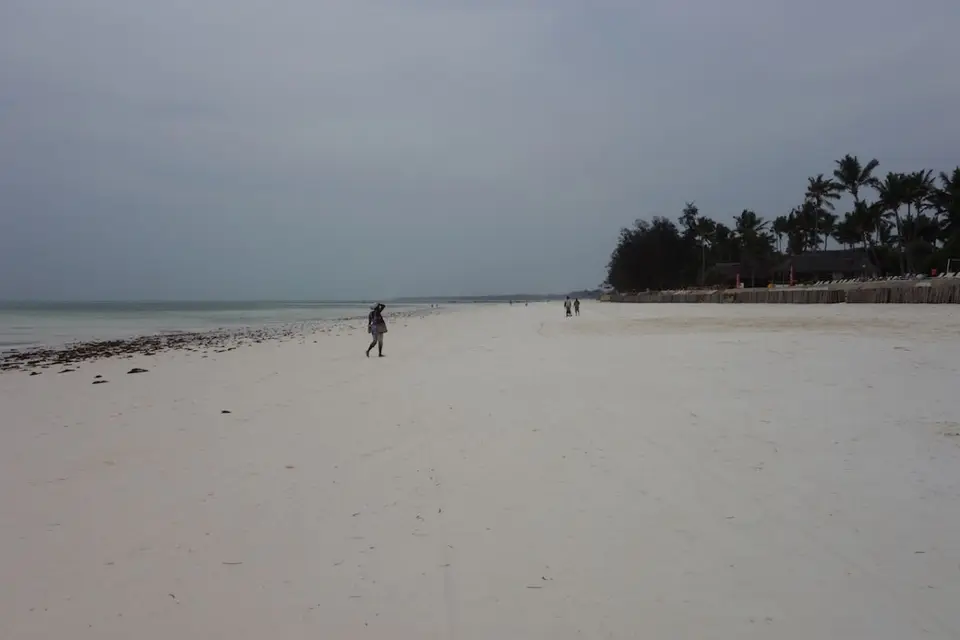 h936133d.JPG