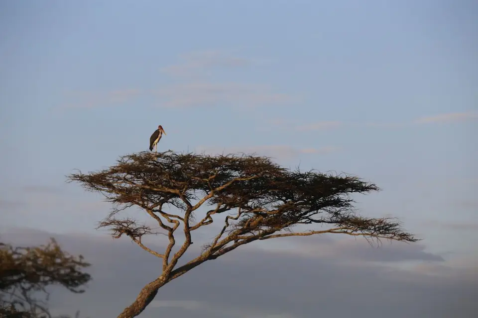 hf192876.JPG