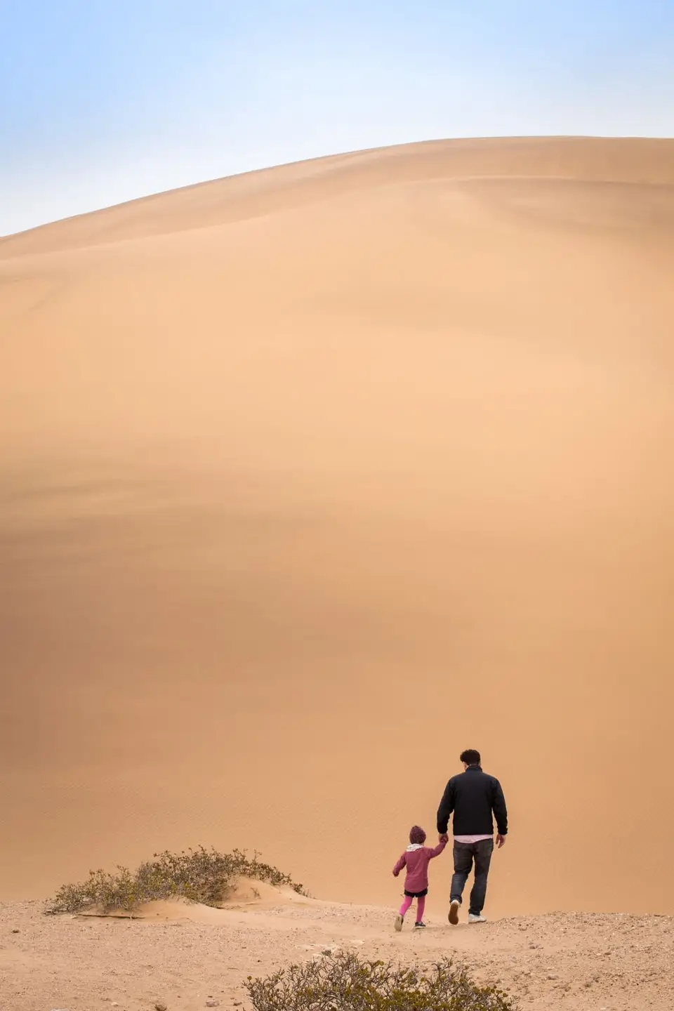 48700172192_8b047640e3_k.jpg