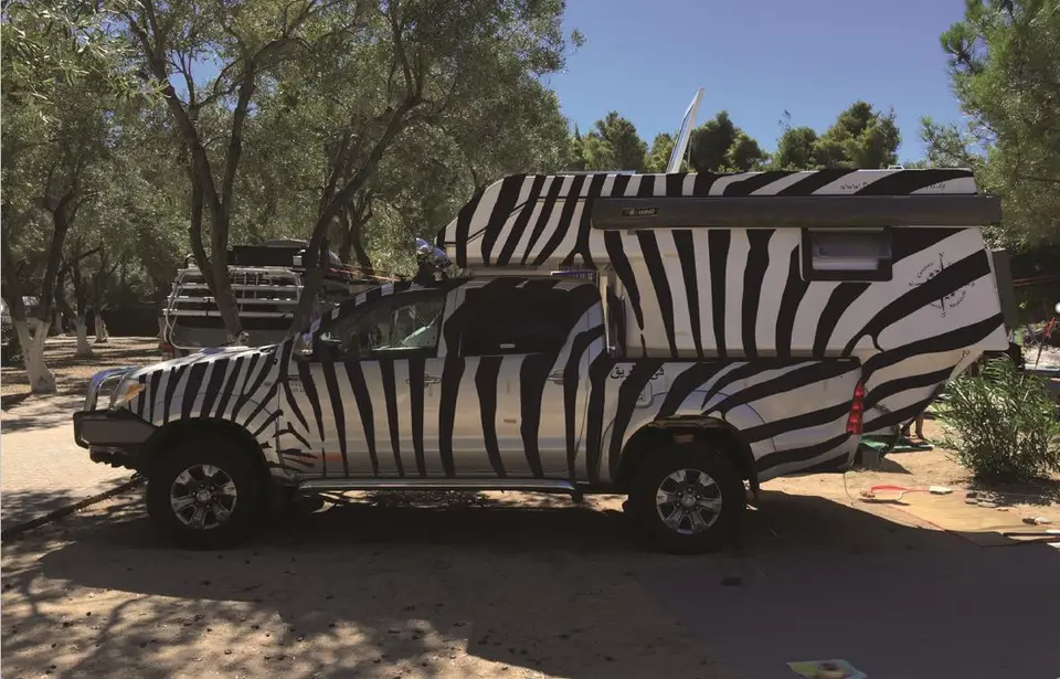 Zebra.jpg
